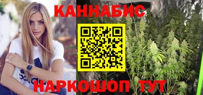 шишки Коммунар