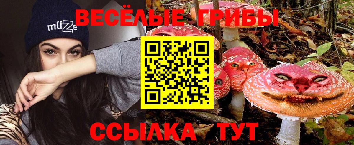 Галлюциногенные грибы прущие грибы  Вход с VPN  где купить наркоту  Каспийск 