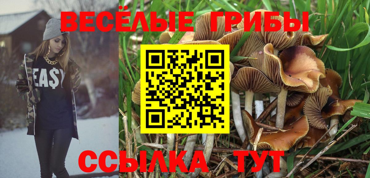 Псилоцибиновые грибы Cubensis Каспийск